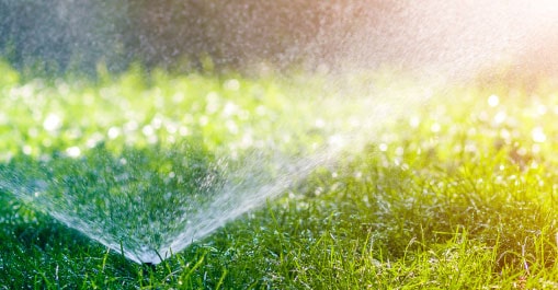 2---Domestic-irrigation-systems-min domestic irrigation systems