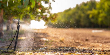 domestic irrigation systems komatipoort mpumalanga
